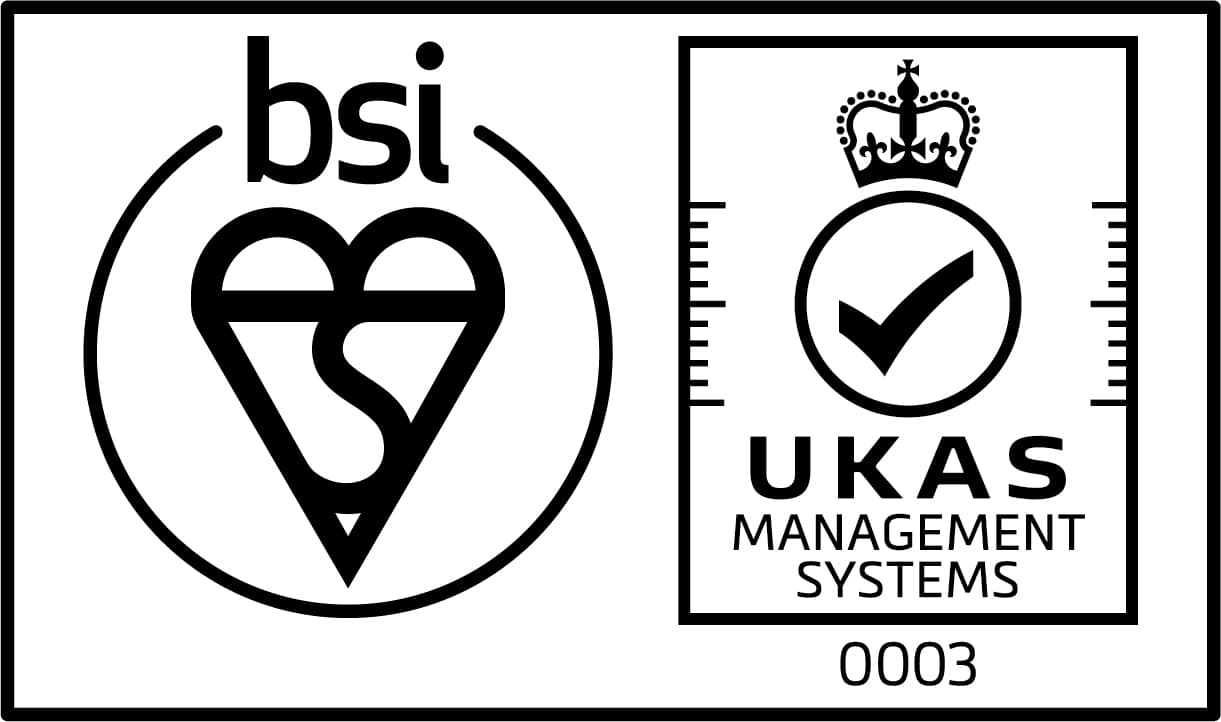 BSI 2023 logo